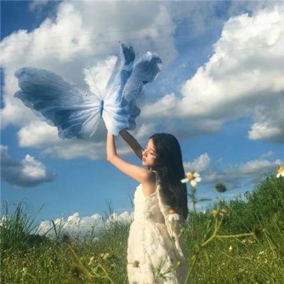 屠宰场准则海报